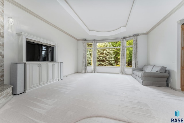 sunroom featuring a raised ceiling