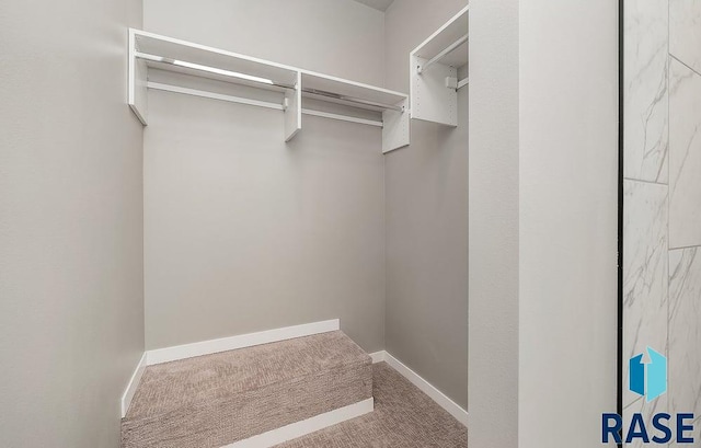 spacious closet with carpet floors