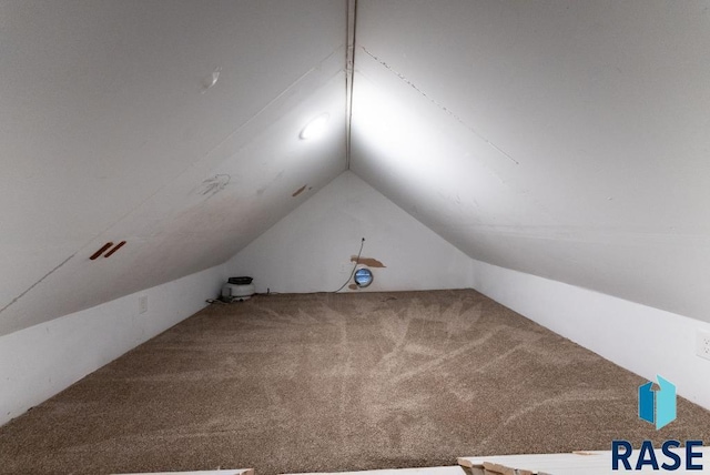 additional living space featuring carpet and lofted ceiling