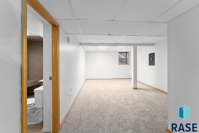 basement featuring a paneled ceiling and carpet floors