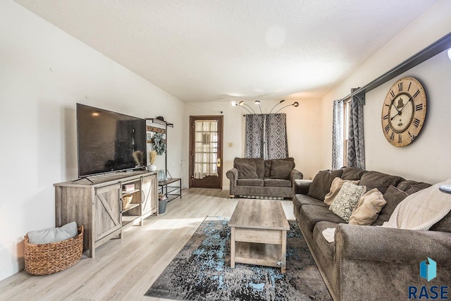 living room with light hardwood / wood-style flooring