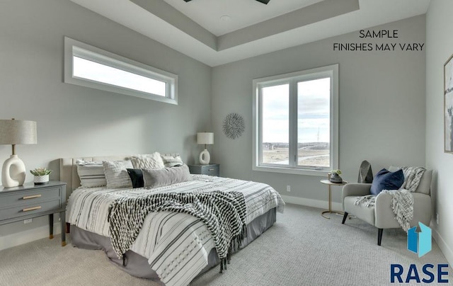 carpeted bedroom featuring a tray ceiling