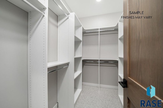 view of spacious closet