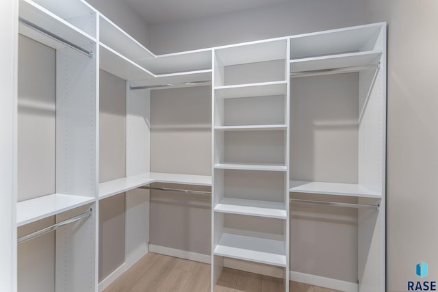 spacious closet featuring light wood-type flooring