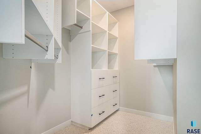 view of spacious closet