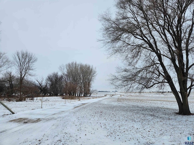 view of snowy yard