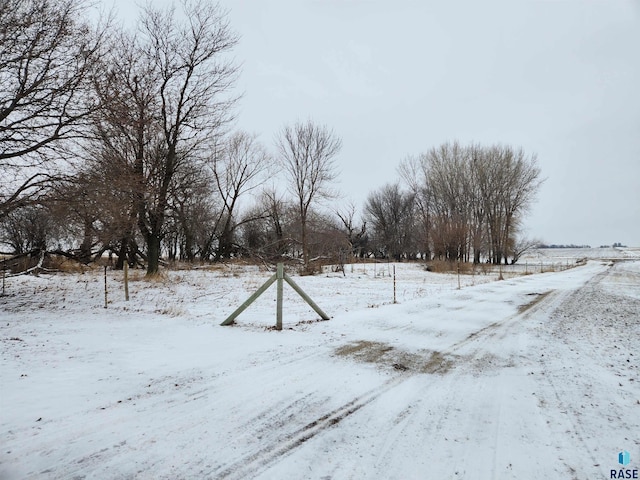 view of snowy yard