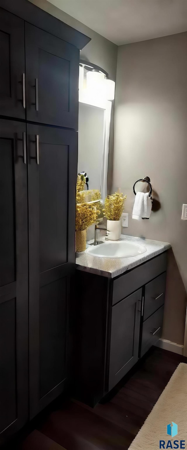 bathroom featuring vanity and wood-type flooring