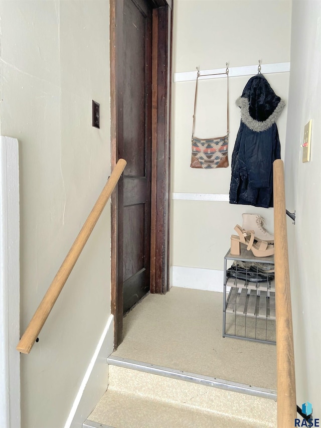 staircase featuring carpet flooring