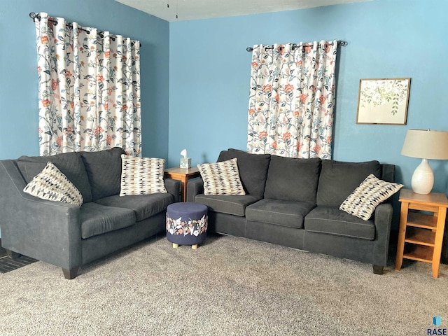 living room with carpet flooring