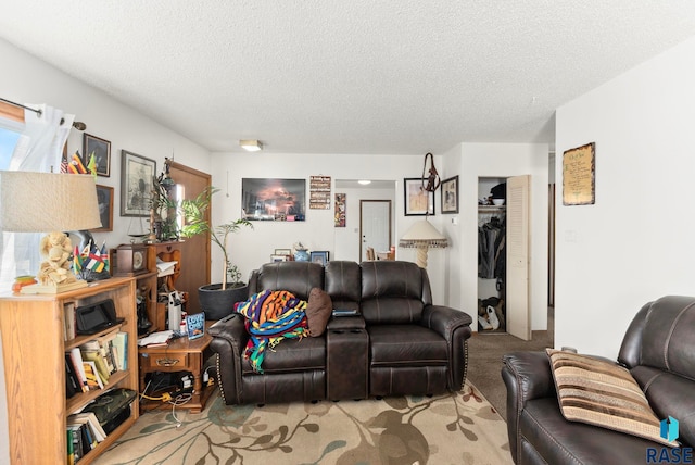 living room with light carpet and a textured ceiling