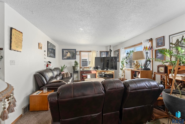 carpeted living room with a healthy amount of sunlight and a textured ceiling