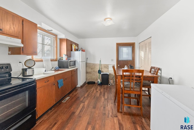 kitchen with black / electric stove, sink, dark wood-type flooring, and white refrigerator