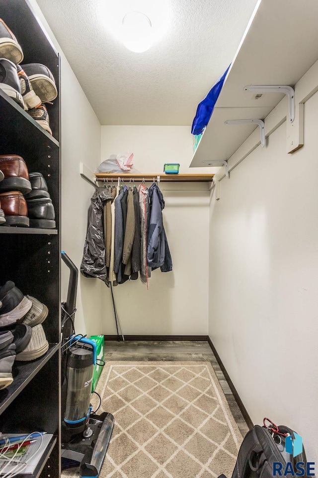 spacious closet featuring light hardwood / wood-style flooring