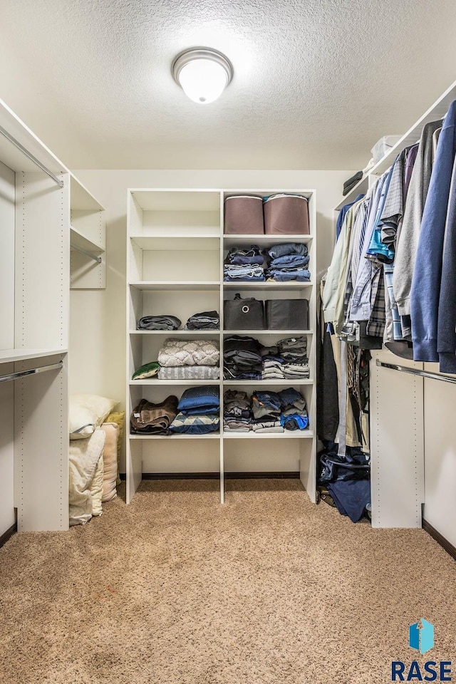 walk in closet with carpet flooring