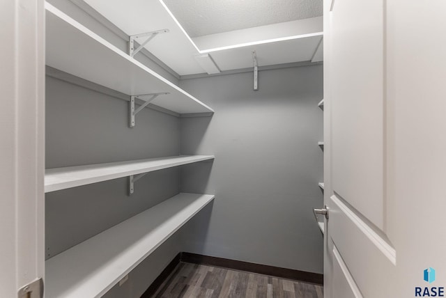 spacious closet featuring dark wood-type flooring