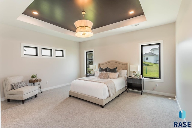 bedroom with carpet flooring and a raised ceiling