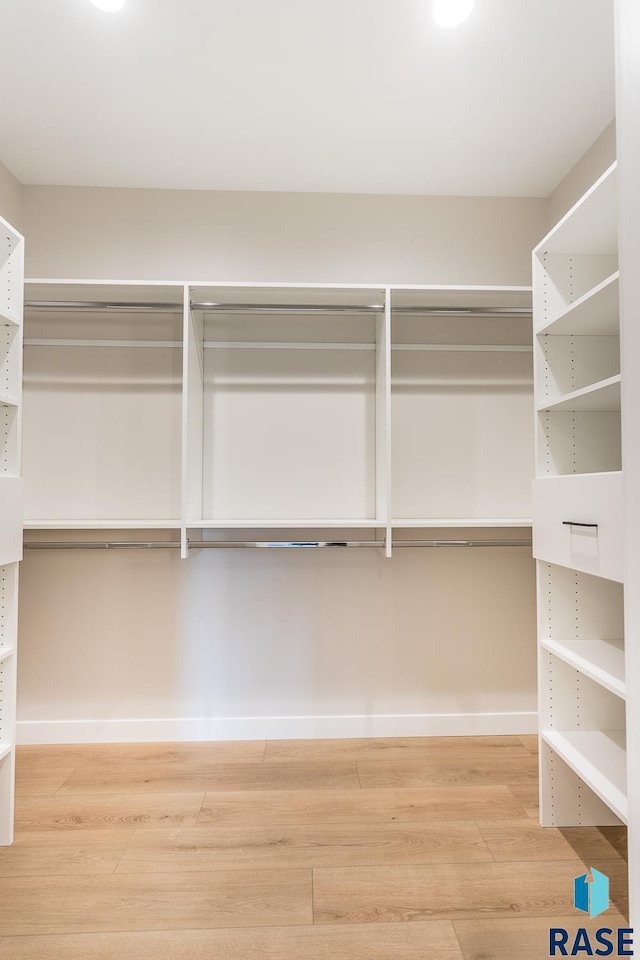 spacious closet featuring wood-type flooring