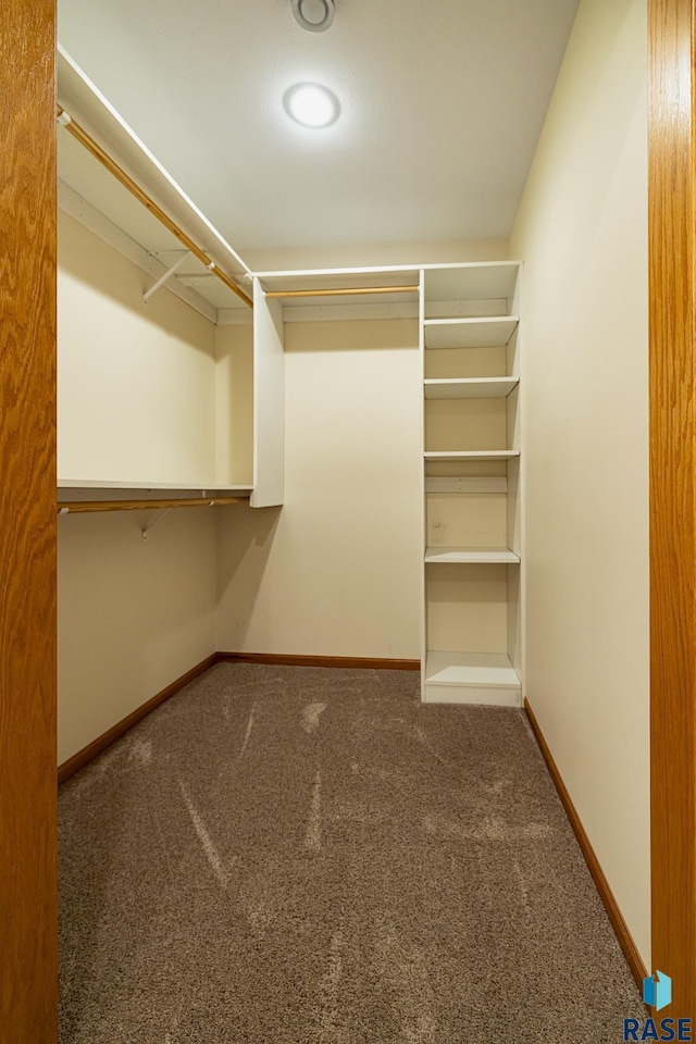 walk in closet featuring dark carpet