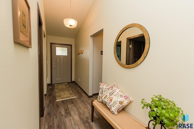 doorway featuring dark wood-type flooring and lofted ceiling