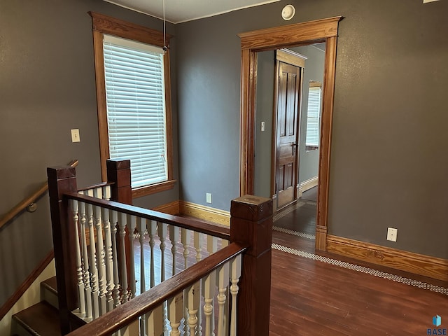 corridor featuring dark hardwood / wood-style floors