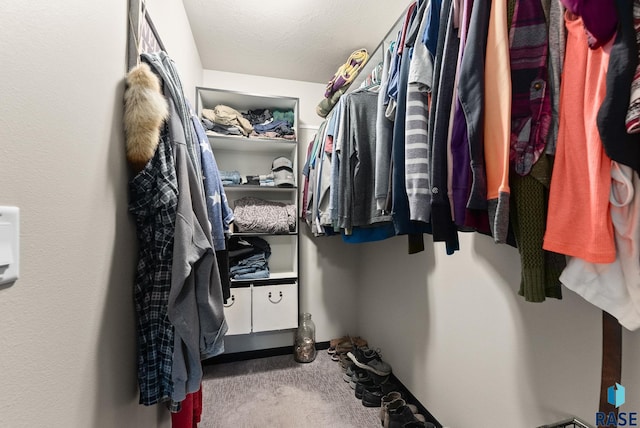 walk in closet with carpet flooring