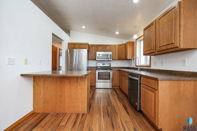 kitchen with vaulted ceiling, sink, stainless steel appliances, and dark hardwood / wood-style floors