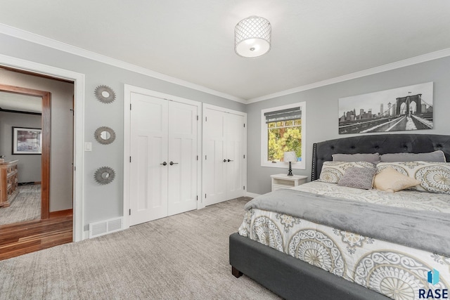 carpeted bedroom featuring multiple closets and ornamental molding