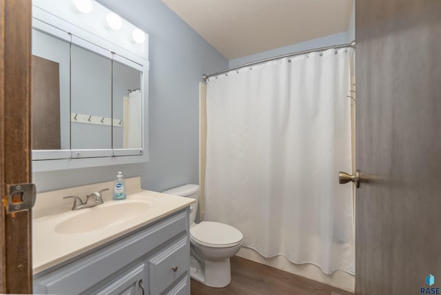 bathroom featuring hardwood / wood-style floors, vanity, and toilet