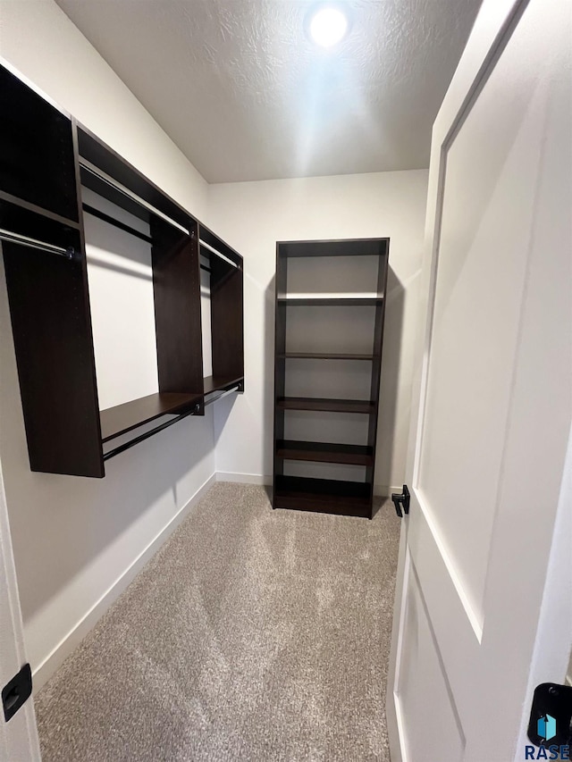 spacious closet with light colored carpet