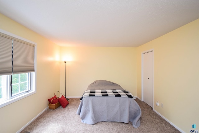 bedroom featuring carpet floors