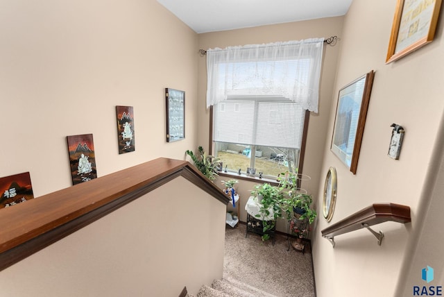 staircase with carpet and a wealth of natural light