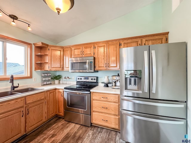 kitchen with dark hardwood / wood-style floors, sink, lofted ceiling, and stainless steel appliances