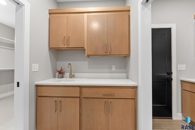 kitchen featuring sink and light brown cabinetry