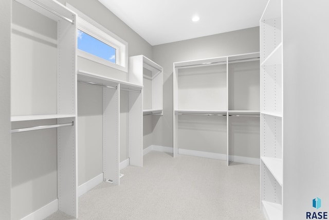 spacious closet featuring light colored carpet