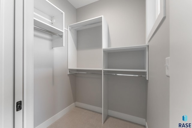 view of walk in closet