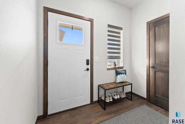 entrance foyer featuring plenty of natural light and dark wood-type flooring