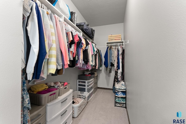 walk in closet featuring light colored carpet