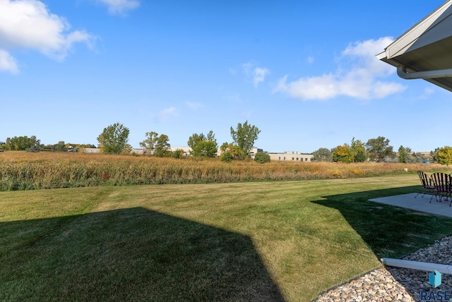 view of yard featuring a patio area