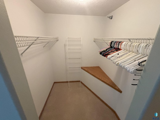 spacious closet featuring carpet