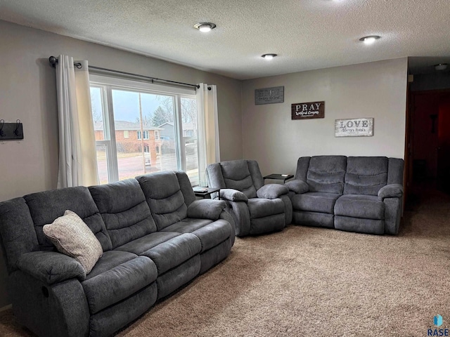 living room with carpet floors and a textured ceiling