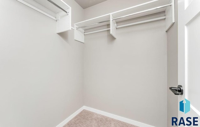 spacious closet with carpet