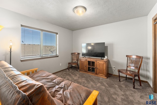 living room featuring a textured ceiling and dark colored carpet