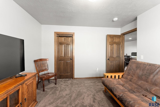 living area featuring carpet flooring and a textured ceiling