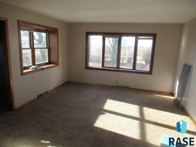 unfurnished living room with carpet flooring