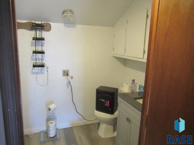 bathroom featuring vanity, toilet, and wood-type flooring