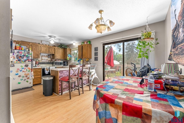 dining room featuring a textured ceiling, light hardwood / wood-style floors, and ceiling fan with notable chandelier