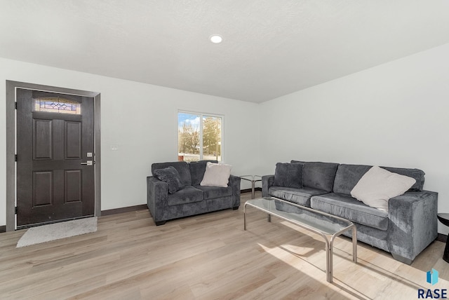 living room featuring light wood-type flooring