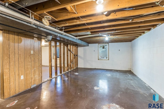 basement with wooden walls