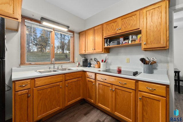 kitchen with sink, dark wood-type flooring, and black electric stovetop